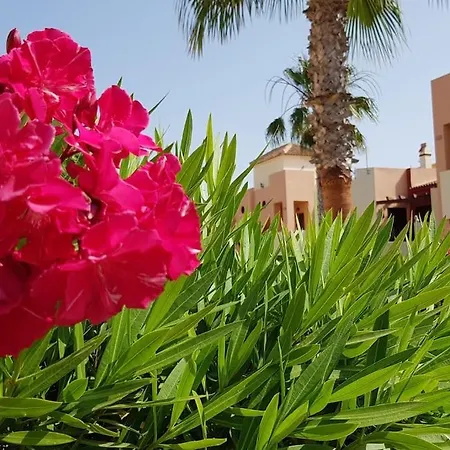 Casa Puesta Del Sol 公寓