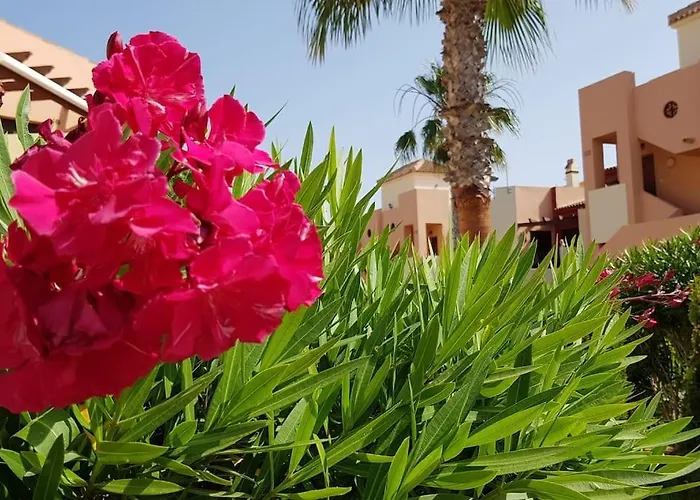 Casa Puesta Del Sol דירה